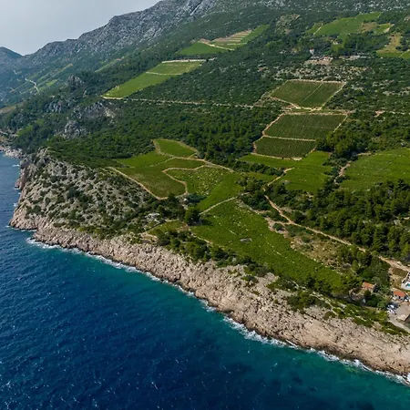 ヴィラ Beachfront Luce With Seaview And Pool Pijavicino