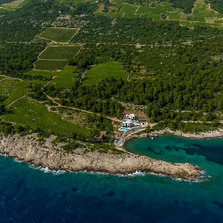 Beachfront Luce With Seaview And Pool Pijavicino